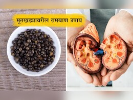 Kidney Stone Treatment: या बिया मूतखड्याचे तुकडे करुन लघवीवाटे फेकतील बाहेर, फायदे आणि उपचाराची पद्धत जाणून घ्या Kidney Stone Treatment: या बिया मूतखड्याचे तुकडे करुन लघवीवाटे फेकतील बाहेर, फायदे आणि उपचाराची पद्धत जाणून घ्या
