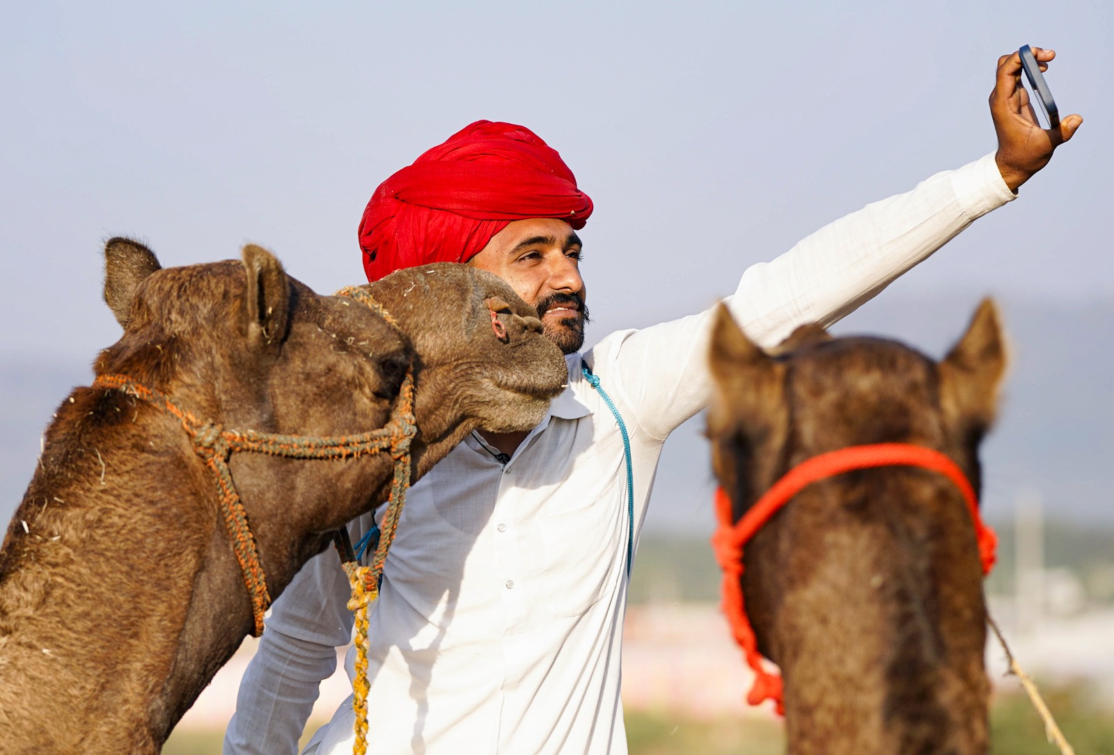 पुष्कर मेले में करोड़ों के घोड़े-भैंसे, फिर इतने सस्ते क्यों बिक रहे ऊंट?