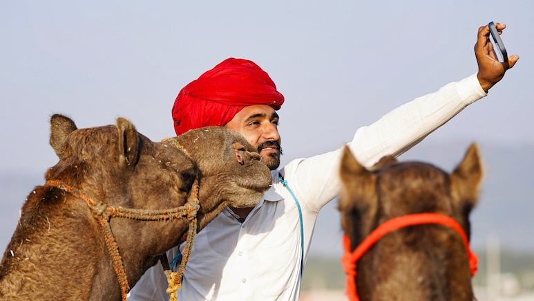 पुष्कर मेले में करोड़ों के घोड़े-भैंसे, फिर इतने सस्ते क्यों बिक रहे ऊंट? पुष्कर मेले में करोड़ों के घोड़े-भैंसे, फिर इतने सस्ते क्यों बिक रहे ऊंट?