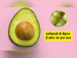 महंगे बिकने वाले एवोकाडो से कई गुना बेहतर है ये छोटा सा हरा फल, डॉक्टर ने खुद बता दिए फायदे महंगे बिकने वाले एवोकाडो से कई गुना बेहतर है ये छोटा सा हरा फल, डॉक्टर ने खुद बता दिए फायदे