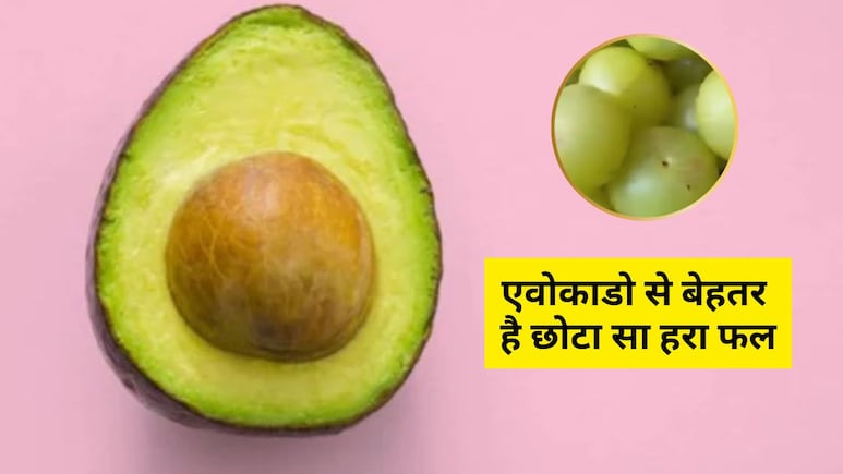 महंगे बिकने वाले एवोकाडो से कई गुना बेहतर है ये छोटा सा हरा फल, डॉक्टर ने खुद बता दिए फायदे महंगे बिकने वाले एवोकाडो से कई गुना बेहतर है ये छोटा सा हरा फल, डॉक्टर ने खुद बता दिए फायदे