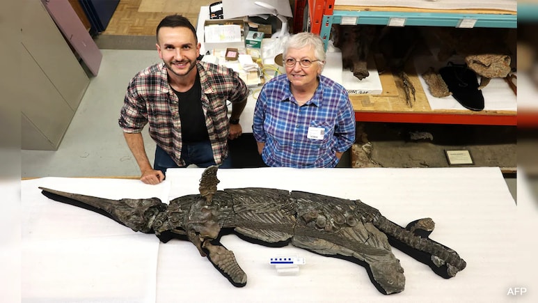 190-Million-Year-Old 'Sword Dragon' Found On Britain's Jurassic Coast 190-Million-Year-Old 'Sword Dragon' Found On Britain's Jurassic Coast