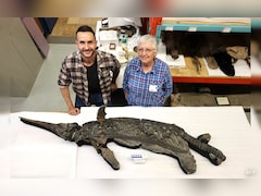 ब्रिटेन में मिला 19 करोड़ साल पुराना ‘ड्रैगन’! समंदर में करता था राज