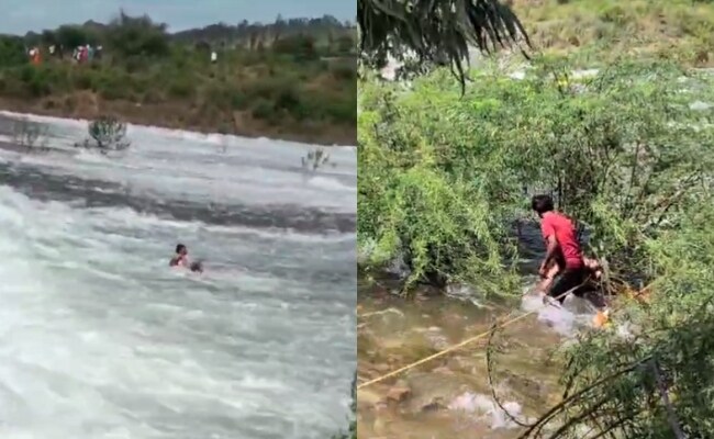 On Camera, Tourist Rescues Man From Being Swept Away In Karnataka Dam