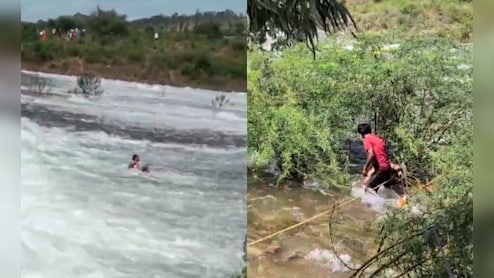 On Camera, Tourist Rescues Man From Being Swept Away In Karnataka Dam
