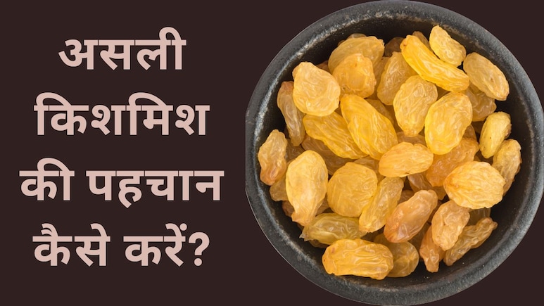 Diwali Aur Dry Fruits: किशमिश असली है या नकली कैसे पहचानें, यहां जानें फायदे और नुकसान Diwali Aur Dry Fruits: किशमिश असली है या नकली कैसे पहचानें, यहां जानें फायदे और नुकसान