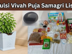 Tulsi Vivah Puja Samagri List: घर पर कर रहे हैं तुलसी विवाह, तो ये सामग्री आज कर दें ऑर्डर
