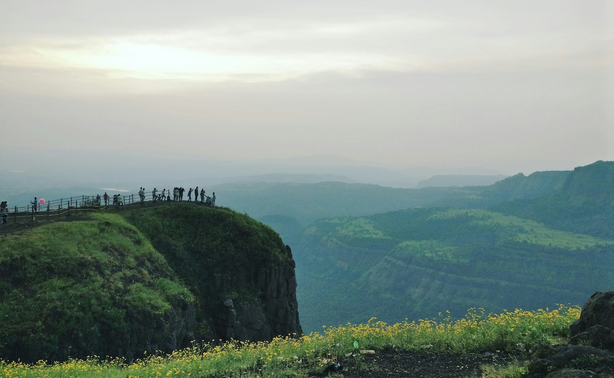 Latest and Breaking News on NDTV Latest and Breaking News on NDTV