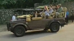 Rajasthan: रणथंभौर की रानी रिद्धी से मिलीं प्रियंका गांधी, बाघिन और शावकों की ट्यूनिंग देख रह गईं दंग