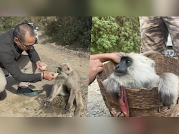 पहाड़ी रास्ते के बीच गुमसुम बैठा था 'बीमार' लंगूर, शख्स ने इस तरह की मदद, दिल छू लेगा वायरल वीडियो पहाड़ी रास्ते के बीच गुमसुम बैठा था 'बीमार' लंगूर, शख्स ने इस तरह की मदद, दिल छू लेगा वायरल वीडियो