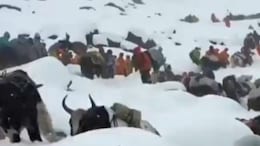 Video: Blizzard Traps 1,000 Trekkers On Mount Everest, Over 350 Rescued