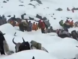 Video: Blizzard Traps 1,000 Trekkers On Mount Everest, Over 350 Rescued Video: Blizzard Traps 1,000 Trekkers On Mount Everest, Over 350 Rescued