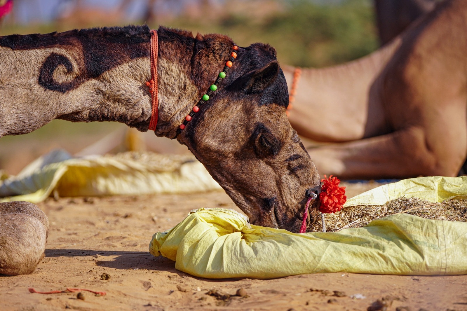 Latest and Breaking News on NDTV Latest and Breaking News on NDTV