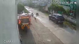 Video: Girl, 7, Hospitalised After Stray Dogs Attack Her In Telangana