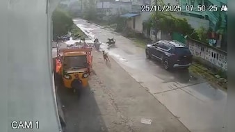 Video: Girl, 7, Hospitalised After Stray Dogs Attack Her In Telangana