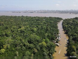 Can Amazon Rainforest Survive Future? Scientists Test It With 'Time Machine' Can Amazon Rainforest Survive Future? Scientists Test It With 'Time Machine'