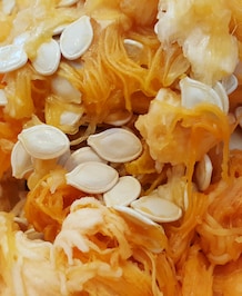 Health Benefits Of Pumpkin Seeds In Breakfast