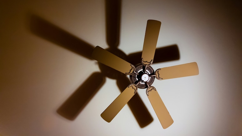 Ceiling Fan under 1000: बिना जेब ढीली किए पाएं ठंडी हवा, ₹1000 के अंदर बेस्ट सीलिंग फैन डील्स Ceiling Fan under 1000: बिना जेब ढीली किए पाएं ठंडी हवा, ₹1000 के अंदर बेस्ट सीलिंग फैन डील्स