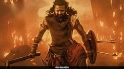 बॉलीवुड फिल्म को पछाड़ 'कंतारा चैप्टर 1' बनी 2025 की सबसे ज्यादा कमाने वाली फिल्म, जानें छापे कितने 100 करोड़