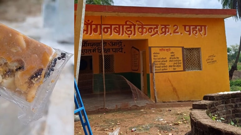 चीटे-कीड़े वाली गुड़ पापड़ी आंगनवाड़ी के बच्‍चों को परोसी, छतरपुर में मासूमों की सेहत से खिलवाड़ का मामला