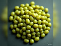 रोज एक कटोरी मूंग दाल दिल-दिमाग को बनाएं स्वस्थ, त्वचा पर भी ले आएगी चमक रोज एक कटोरी मूंग दाल दिल-दिमाग को बनाएं स्वस्थ, त्वचा पर भी ले आएगी चमक