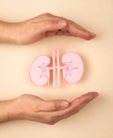 9 Foods To Boost Kidney Health