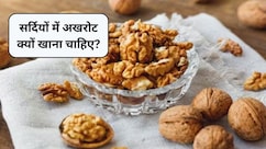 Benefits Of Eating Walnuts: सर्दी में अखरोट कैसे खाना चाहिए? एक्सपर्ट ने बताए 5 जरूरी फायदे