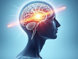 Brain Shrinkage Across Multiple Regions Accelerates Memory Decline With Age: Study