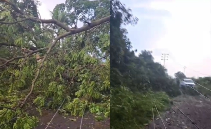 महाराष्ट्र के कुछ हिस्सों में अचानक बदला मौसम! रायगड़ में तूफानी बारिश से बिजली व्यवस्था ठप