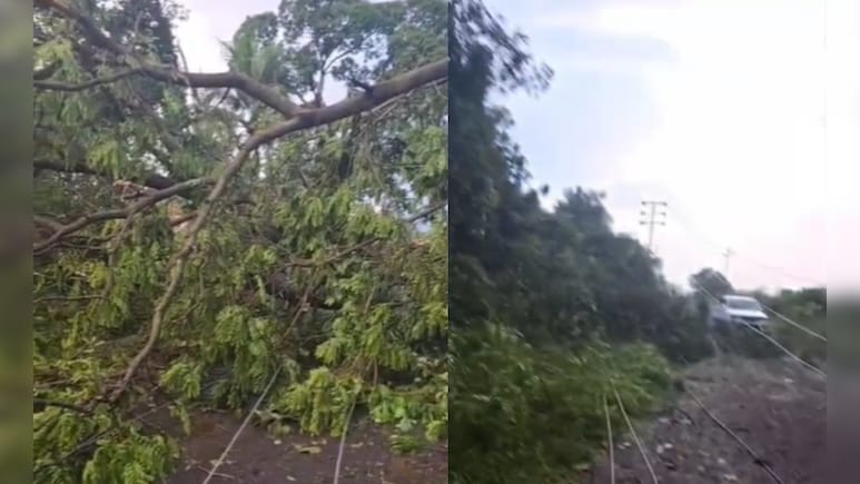 महाराष्ट्र के कुछ हिस्सों में अचानक बदला मौसम! रायगड़ में तूफानी बारिश से बिजली व्यवस्था ठप महाराष्ट्र के कुछ हिस्सों में अचानक बदला मौसम! रायगड़ में तूफानी बारिश से बिजली व्यवस्था ठप