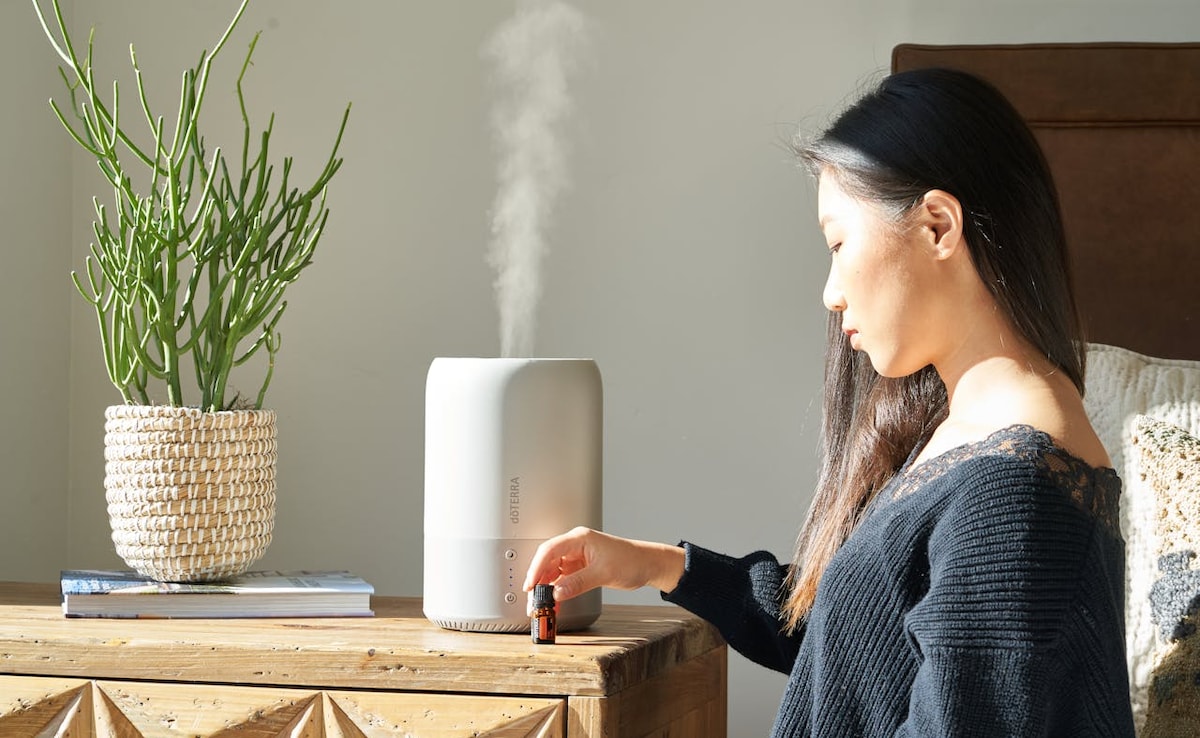 Air Purifier Vs Humidifier: Do You Need Both For Better Health This Winter?