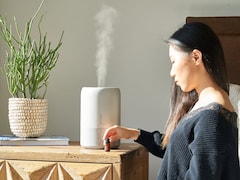 Air Purifier Vs Humidifier: Do You Need Both For Better Health This Winter?