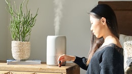 Air Purifier Vs Humidifier: Do You Need Both For Better Health This Winter?