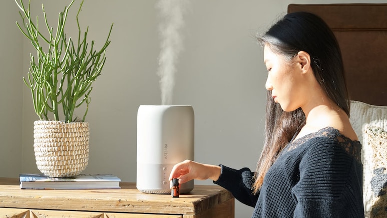 Air Purifier Vs Humidifier: Do You Need Both For Better Health This Winter? Air Purifier Vs Humidifier: Do You Need Both For Better Health This Winter?