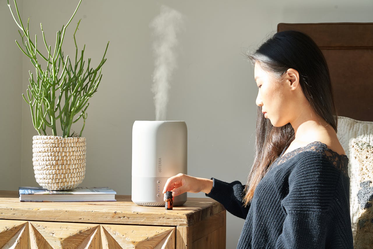 Air Purifier Vs Humidifier: Do You Need Both For Better Health This Winter?