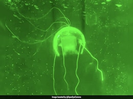 China Unveils 'Ghost Jellyfish' Drone For Secret Underwater Missions China Unveils 'Ghost Jellyfish' Drone For Secret Underwater Missions