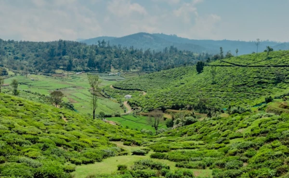 Latest and Breaking News on NDTV