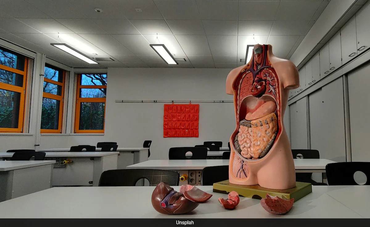 Lab-grown mini-organs with blood vessels