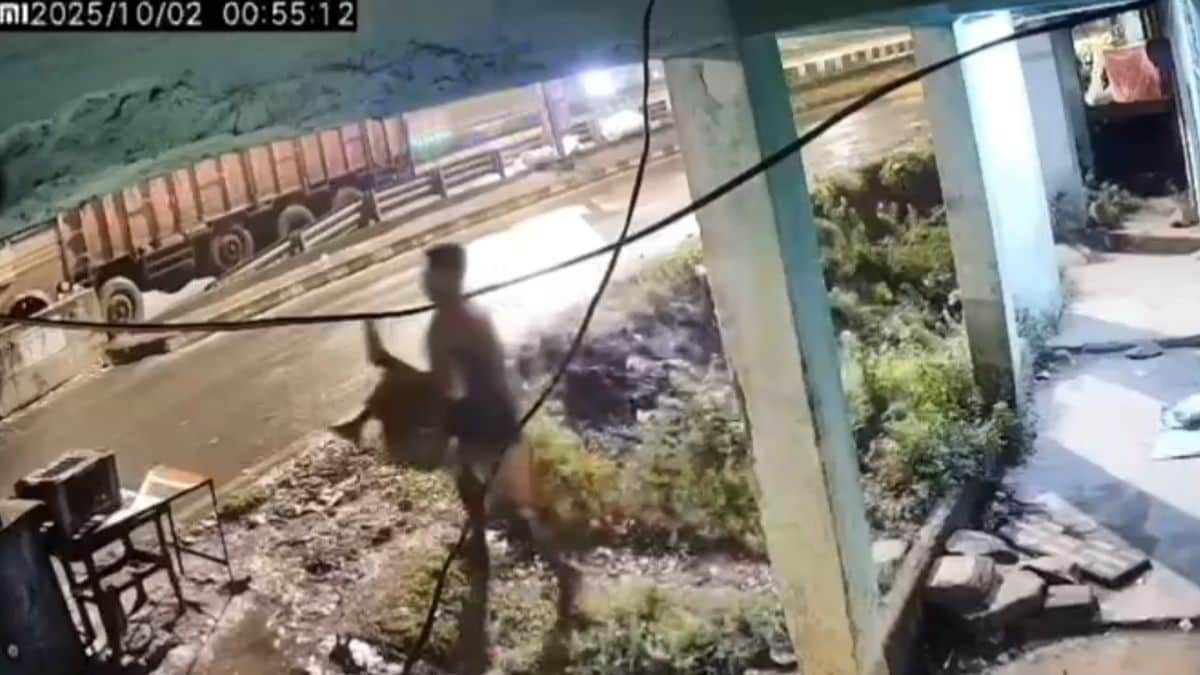 CCTV grab shows the driver scanning the highway before he dashed back to the truck, carrying the woman he kidnapped CCTV grab shows the driver scanning the highway before he dashed back to the truck, carrying the woman he kidnapped