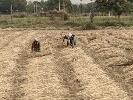 Rajasthan: हाड़ौती के किसानों पर दोहरी मार! पहले बारिश, फिर कम उत्पादन ने तोड़ी कमर; लाखों के घाटे में दबे Rajasthan: हाड़ौती के किसानों पर दोहरी मार! पहले बारिश, फिर कम उत्पादन ने तोड़ी कमर; लाखों के घाटे में दबे