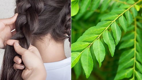 Curry Leaves for Hair Growth: केसांच्या वाढीसाठी कढीपत्त्याचा कसा करावा वापर? 30 दिवसांत फरक दिसेल, न्युट्रिशनिस्टने दिली माहिती