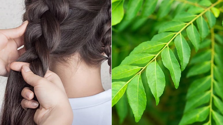बाल बढ़ाने के लिए करी पत्ते का इस्तेमाल कैसे करें? न्यूट्रिशनिस्ट ने बताया 30 दिनों में दिखने लगेगा फर्क