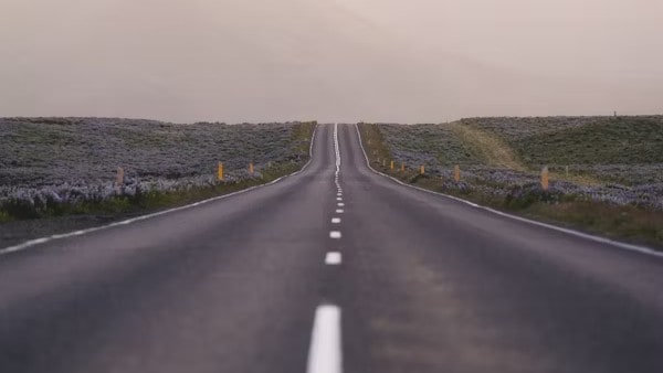 Supreme Court Mandates New Standards For Road Design and Maintenance; Orders States To Frame Rules