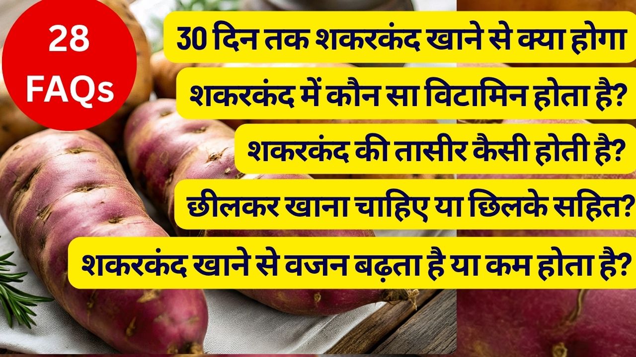 रोजाना शकरकंद खाने से क्‍या होगा, जानें फायदे-नुकसान, शकरकंद में कितनी कैलोरी होती है और क्‍या है शकरकंद की तासीर? | 28 FAQs