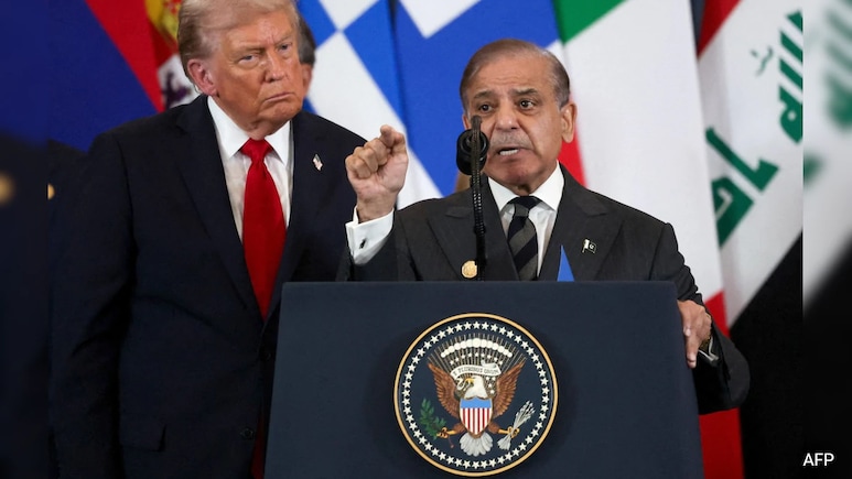 Pakistan To Join Donald Trump's Gaza 'Board Of Peace'