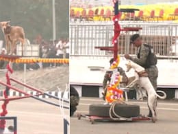 भाई साब! दुश्मनों के छक्के छुड़ाने वाले कुत्तों के ये करतब देख दांत तले दबा लेंगे अंगुली भाई साब! दुश्मनों के छक्के छुड़ाने वाले कुत्तों के ये करतब देख दांत तले दबा लेंगे अंगुली