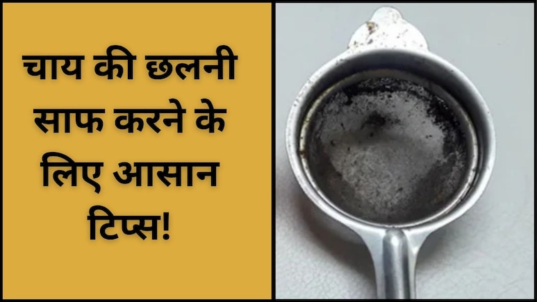 Tip To Clean Tea Strainer: पुरानी चाय की छलनी को नया जैसा बनाने के लिए किचन में मौजूद इन चीजों का ऐसे करें इस्तेमाल Tip To Clean Tea Strainer: पुरानी चाय की छलनी को नया जैसा बनाने के लिए किचन में मौजूद इन चीजों का ऐसे करें इस्तेमाल