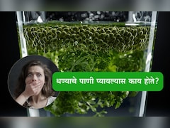 Coriander Water Benefits: सलग 15 दिवस धण्याचे पाणी प्यायल्यास तुमच्या शरीरामध्ये होईल मोठा बदल