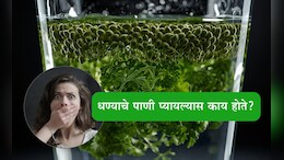 Coriander Water Benefits: सलग 15 दिवस धण्याचे पाणी प्यायल्यास तुमच्या शरीरामध्ये होईल मोठा बदल