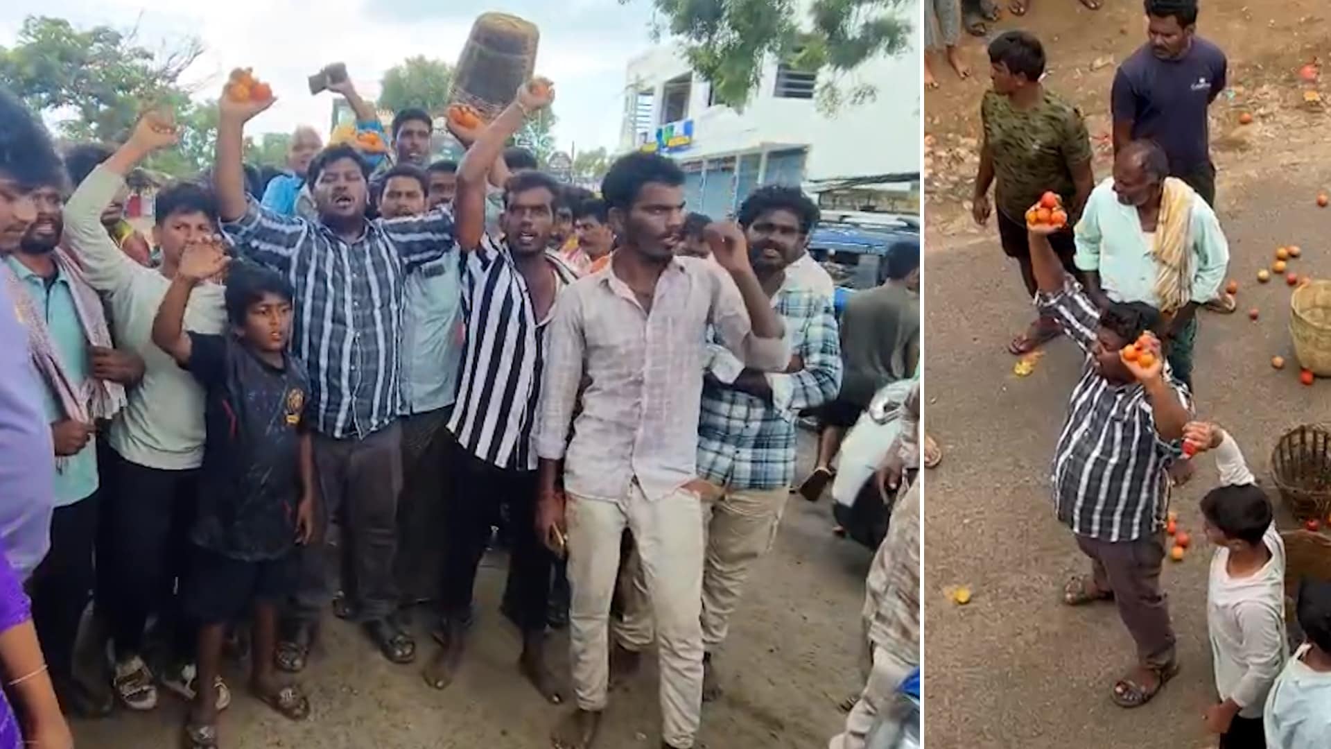 Andhra Farmers Protest Plummeting Tomato Rates, Demand Fair Price
